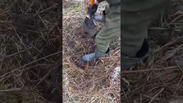 Отличный поиск металла | схрон металла | много металла в одном месте | нашёл схрон металла | коп смотреть онлайн