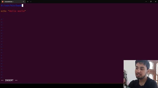 Introduction to Bash Scripting - Shebang, echo, Programs, Process смотреть онлайн