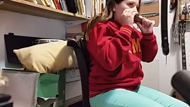 clarinet polka פולקת הקלרינט בשיעור מפוחית смотреть онлайн