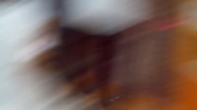 VLOG: Ручной зоопарк смотреть онлайн