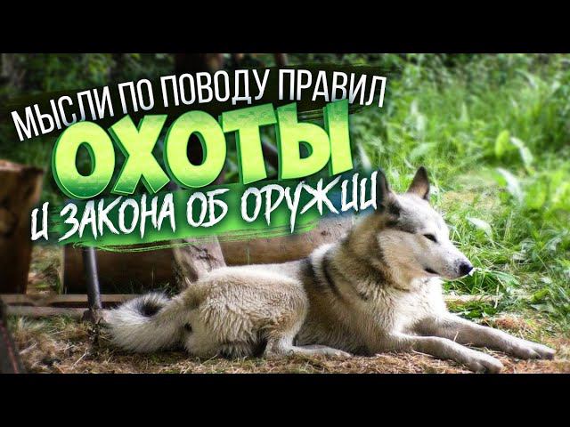 В охотничьей избе о законе и правилах охоты. Снегоходчики с большими пушками.