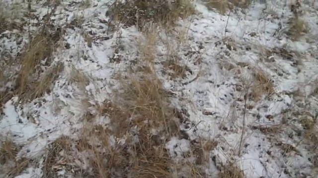 Земля замерзла,а копать хочется! Выход есть!!! смотреть онлайн