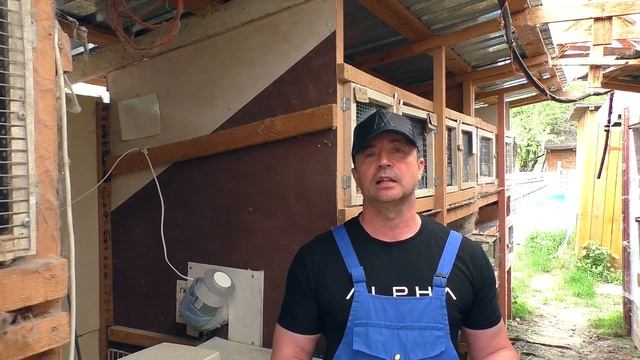 ПОЧЕМУ КРОЛЬЧАТА РОЖДАЮТСЯ МАЛЕНЬКИЕ КРОЛИКИ НЕ РАСТУТ ЛИЧНЫЙ ОПЫТ Кролики содержание и разведение