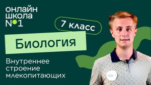Внутреннее строение млекопитающих. Видеоурок 28. Биология 7 класс