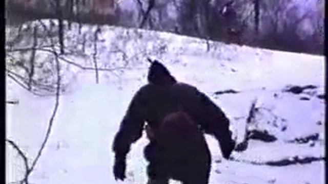 Русские добровольцы в Сербии смотреть онлайн