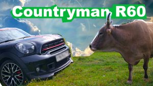 Mini R60 countryman - популярный недооцененный кроссовер