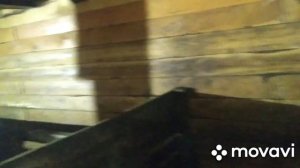 Загон для поросят своими руками. Переселение. Сельские будни.