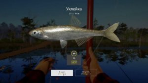 Русская рыбалка 4, Острог, уклейка + троф