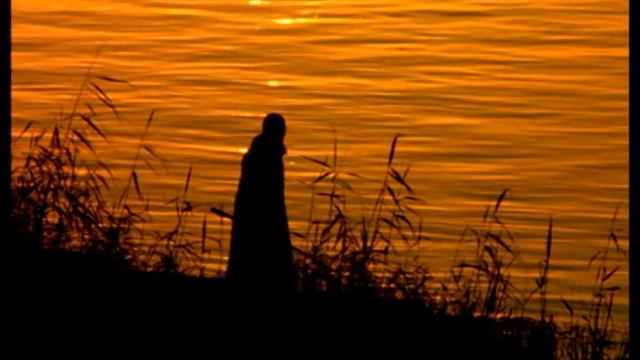 Леонид Агутин и Al Di Miola - Cuba Africa смотреть онлайн