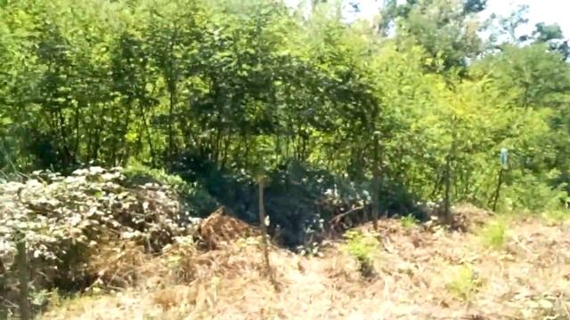 Адлер ул.Белые Акации 4сотки (8сот по докум) смотреть онлайн