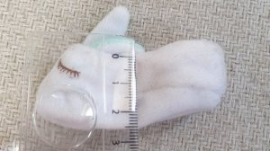 Обувь для кота Басика и кошки Лили своими руками. Шьём сами.