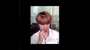 STRAY KIDS TIKTOK COMPILATION (PART 4) | HAN JISUNG | Tiktoks 4u