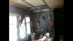 кот прыгает в окно