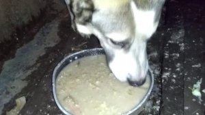 Зима в деревне.