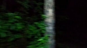 Рыбалка на Леща.?А я его дождался. ?Ночь, отдых.?