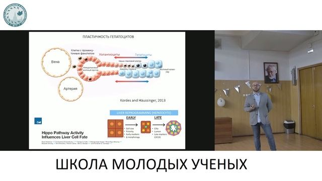 Молекулярные и клеточные механизмы регенерации печени - Ельчанинов Андрей Владимирович