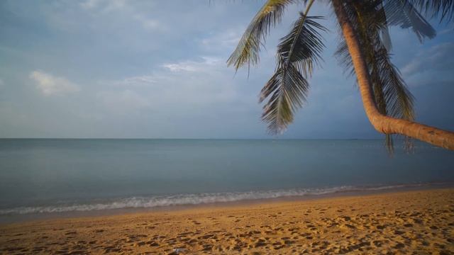 Видео для релаксации | Море | Пляж Full HD | Relaxation Videos | Sea | Full HD Beach смотреть онлайн