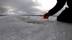 Лещ не лезет в лунку,рвёт леску.Обидный обрыв трофейного леща.Ловля леща на Сурском водохранилище.