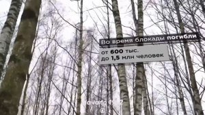 Песня  Игорь Растеряев _Георгиевская ленточка_.mp4