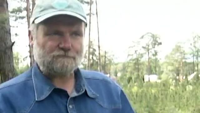 Мастер-класс. Прививка кедра смотреть онлайн