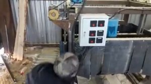 Дисковая горизонтальная пилорама