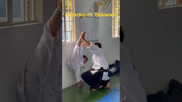 Flexibility Training #itftaekwondo #taekwondo #kickboxing #martialarts #taekwondokid #training смотреть онлайн
