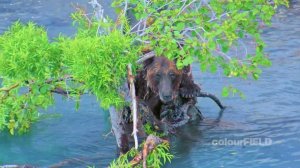 Полёт над Россией / Russia from Above / Russland von oben