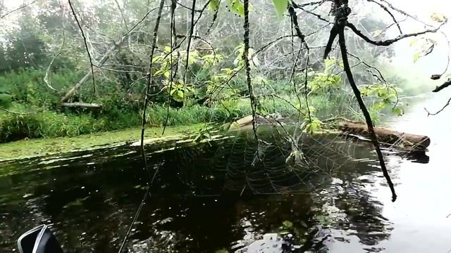 р.Иночь 2023г.Нижние течение. Спиннинг. смотреть онлайн