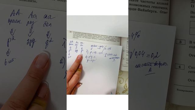 Закон Харди Вайнберга #рохлов вариант 11 задание 27 #егэ2024