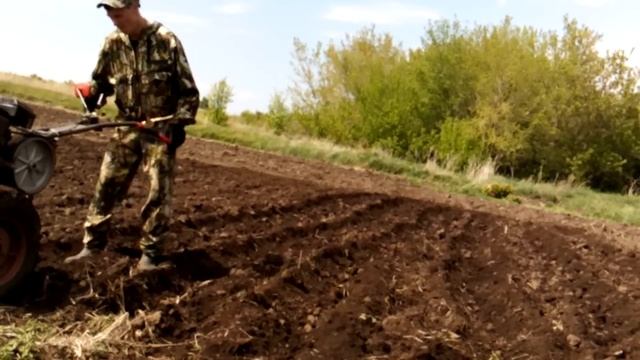 Посадка картофеля мотоблоком МБ-1 смотреть онлайн