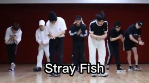 То, чего вы не замечали в Stray Kids "Domino"