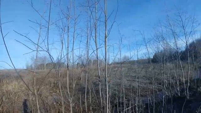 Осенняя прогулка.
