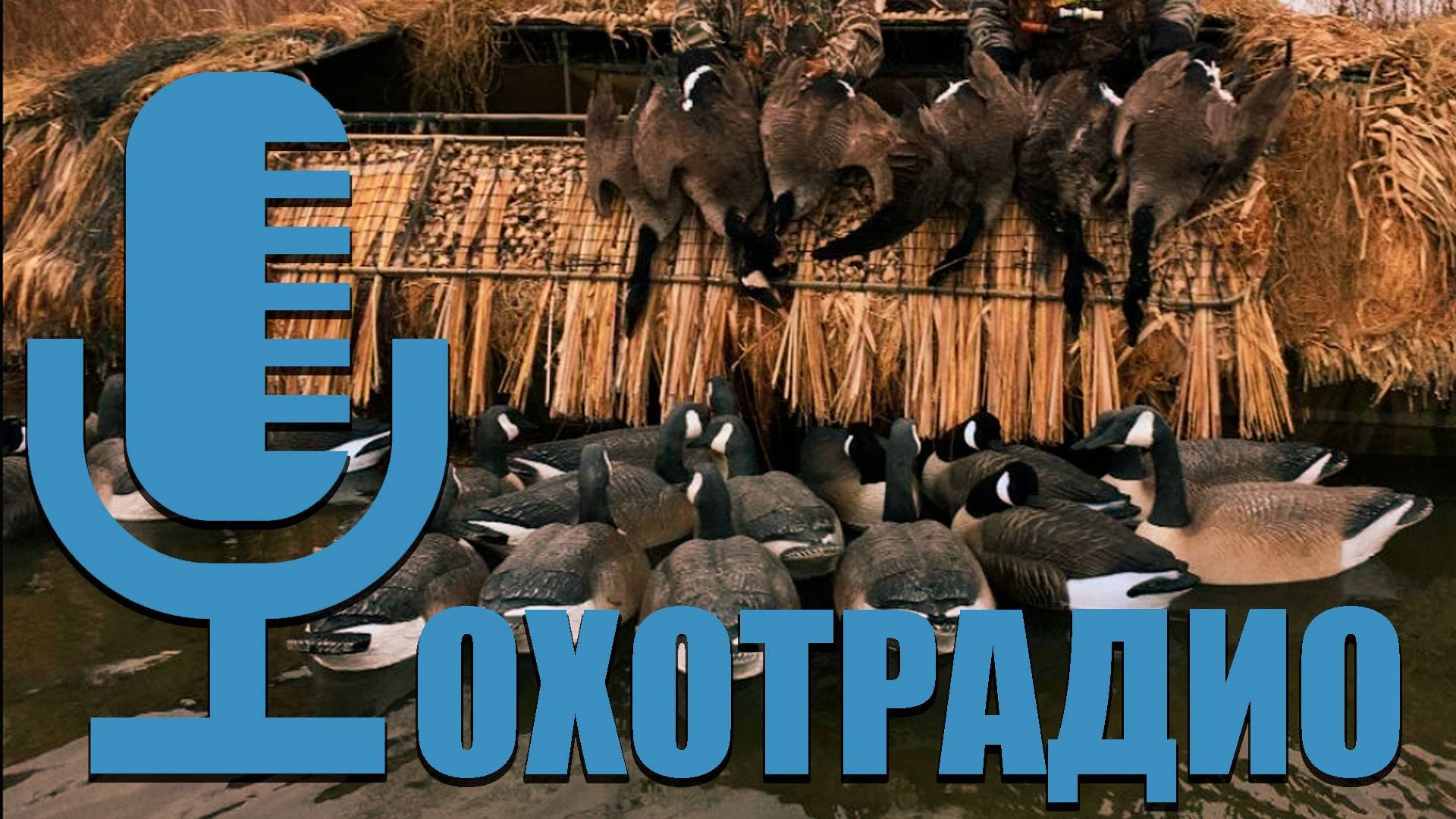 ПОГОДА ДЛЯ ОХОТЫ 🔴 КАКАЯ ЛУЧШЕ ВСЕГО_🔴ОХОТРАДИО