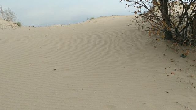 Покатушки // Природа // Памятник Ленину находиться здесь 🤗 смотреть онлайн