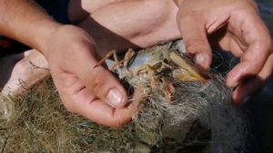 Дон. х. Песковатка. Отдых и рыбалка.