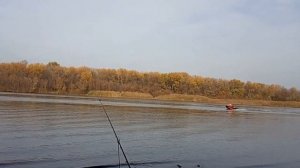Где порыбачить на Дону? ул. Левобережная
