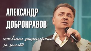 Александр ДОБРОНРАВОВ • АНГЕЛ, ЗАКРЕПЛЁННЫЙ ЗА ЗЕМЛЁЙ _ Лето Господне_ Архангел Михаил, 2023