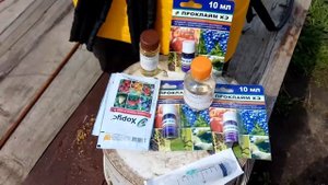 Обработка земляники ,против клещей, трипса,и других вредителей.Вертимек,Проклайм, Хорус..Клубника