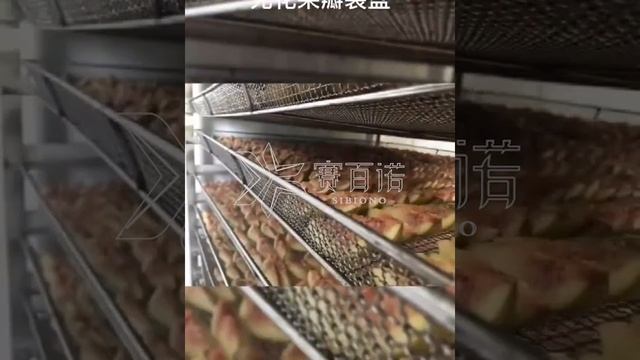 Secret of Fast Dehydration of Figs - Fresh Fig Drying Process& Dried Fig Drying Equipment / Oven