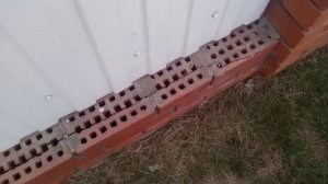 Расширение воды при замерзании.