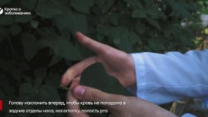 Доврачебная помощь при носовом кровотечении
