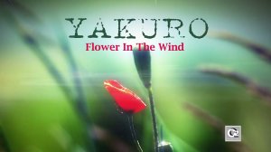 Yakuro  - Flower in the Wind (2024)