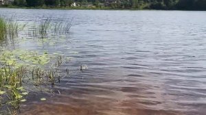 Красота озера Поддубское