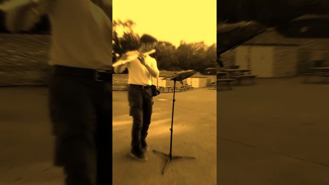 J S Bach Partita in A minor BWV1013 Solo Alto Flute - Allemande movement ~ Roaming Joe смотреть онлайн