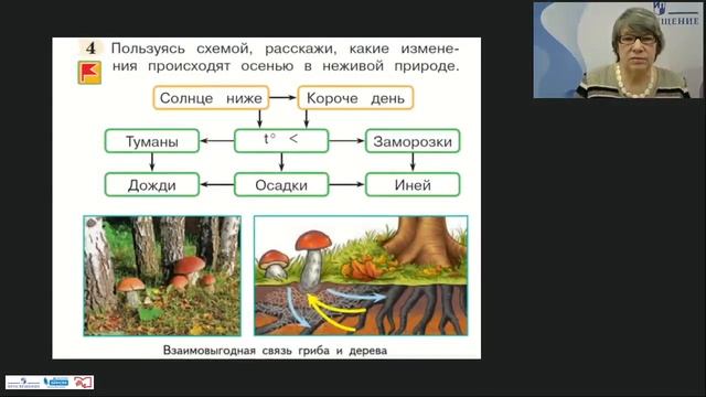 Обществоведческий и исторический компоненты содержания в курсе 