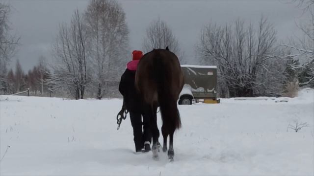 Печенег и Светозар 20.12.2021г смотреть онлайн