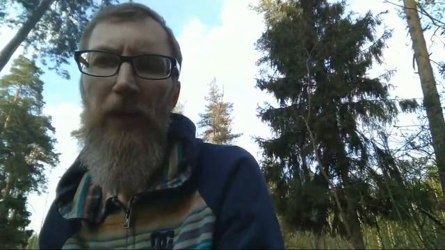 #свободушаману #демонуходи [обряд №45] Стрим. Лес. Пятница.