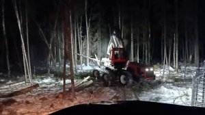 ночь работа валочной со стороны