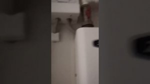 Котел Zota 15 кв. Не греет.