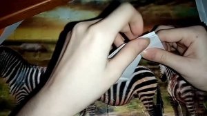 Мышка из бумаги А4. Легкое оригами.